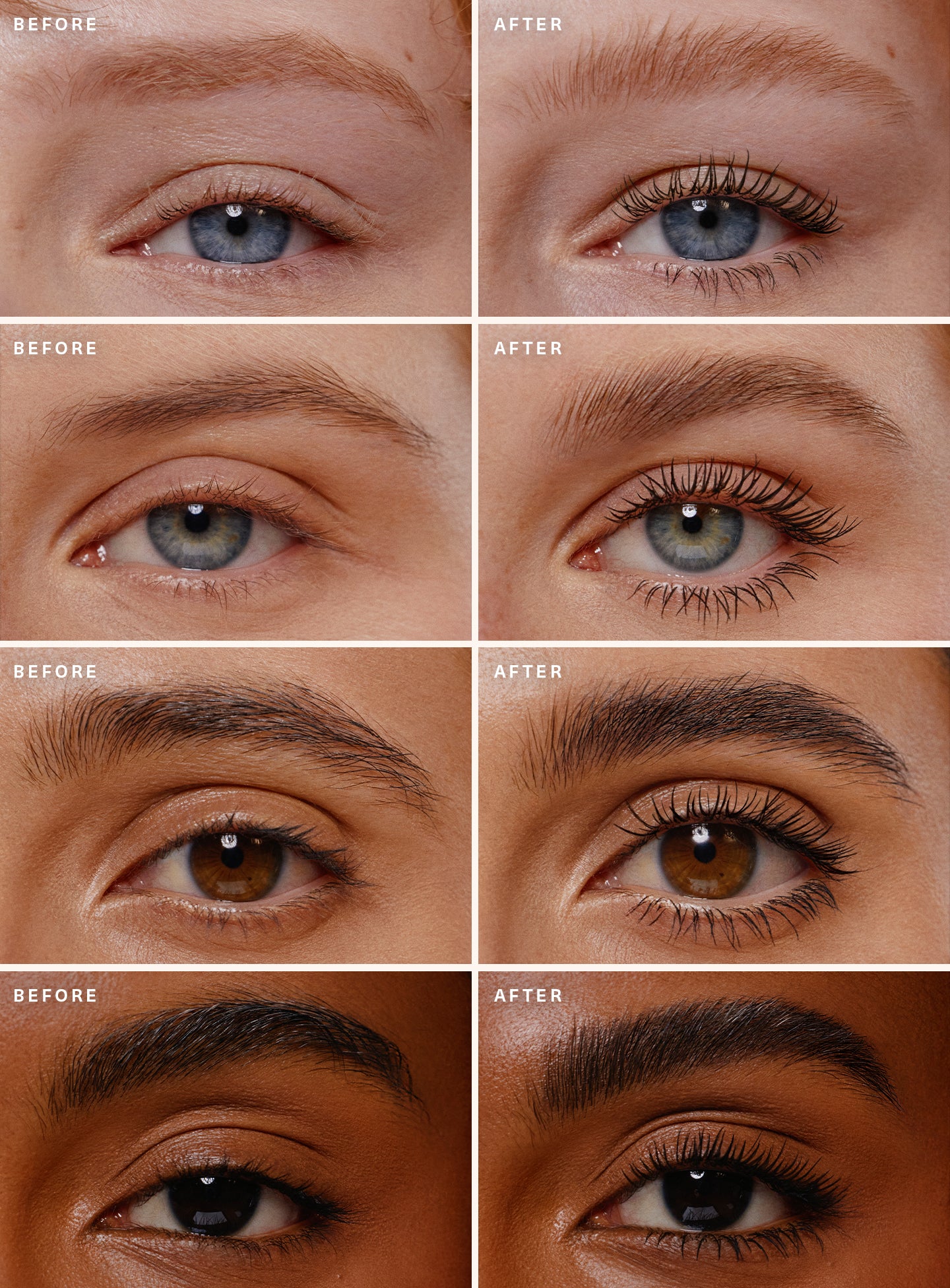 Selena's Lash & Brow Duo - Image 3