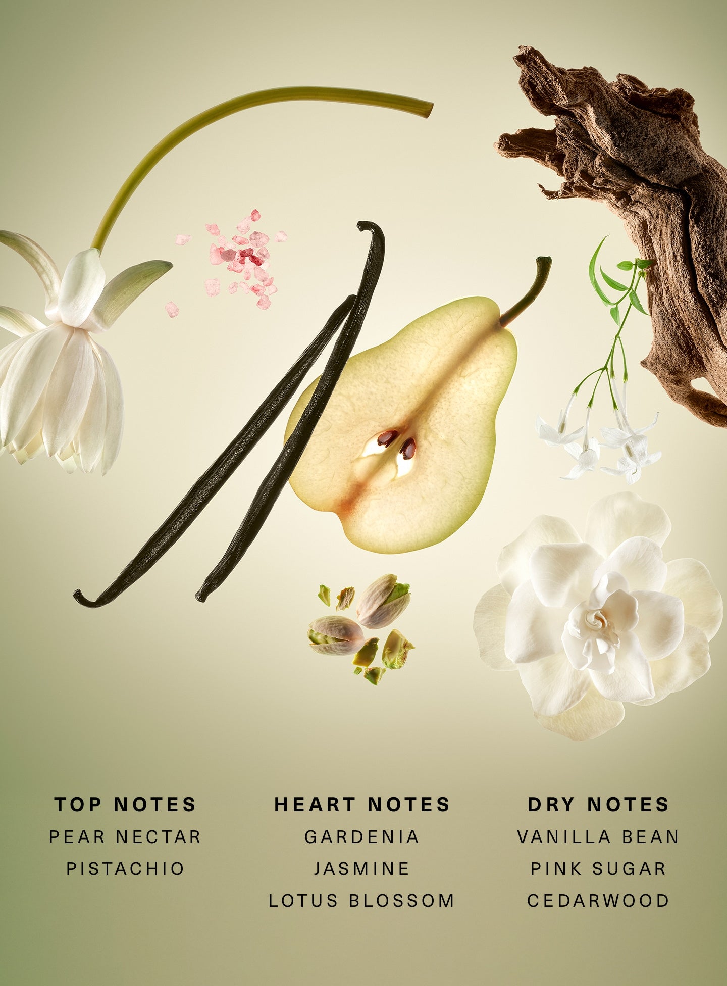 Rare Beginnings Eau de Parfum - Image 2